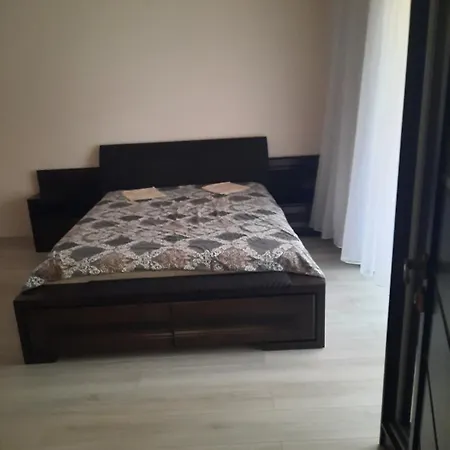 Затишок Берегово Неподалік Від Басейнів 
