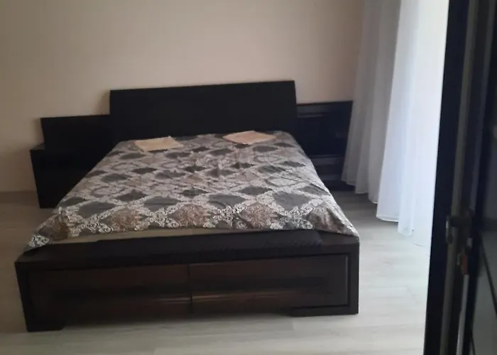 Затишок Берегово Неподалік Від Басейнів \